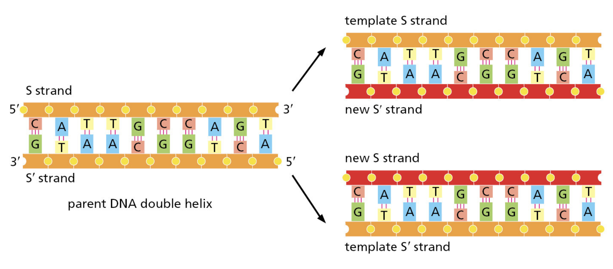 Figure 5-2.png